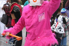 fasnacht0611_20071030_1071341784