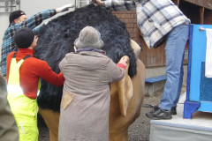 basteln_07_24_20090310_1485699873