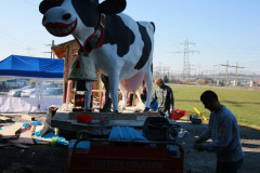 20080214_1670454678_img_1594