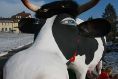 umzug_inwil_58_20080214_2068799350