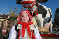 umzug_inwil_66_20080214_1221116627