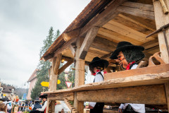 inwil2014_41_20140315_1762407193