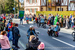 20190303-Umzug-Inwil-54