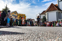 20190303-Umzug-Inwil-75
